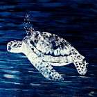 Swim Along I Art Print