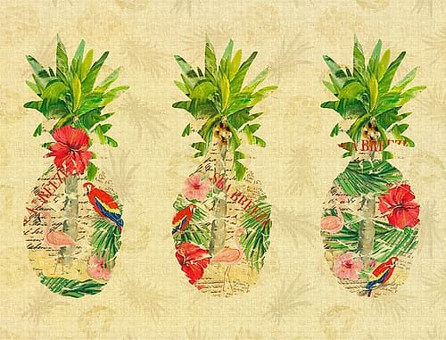 Triple Tropical Pineapple Collage Art Print