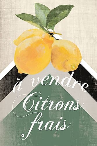Citron Frais Food Print