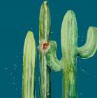 Natural Desert Cactus On Blue II Art Print