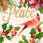 Bright Christmas Cardinal II Art Print
