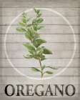 Fresh Herbs on Wood V Art Print