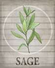 Fresh Herbs on Wood III Art Print