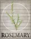 Fresh Herbs on Wood II Art Print