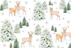 Deer In Pine Forest Art Print
