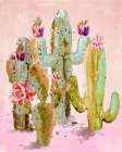Chaotic Cactus Art Print