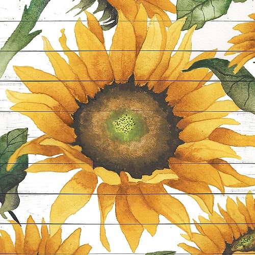 Happy Sunflower I Art Print