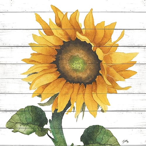 Happy Sunflower II Art Print
