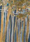 Exotic Forest Art Print