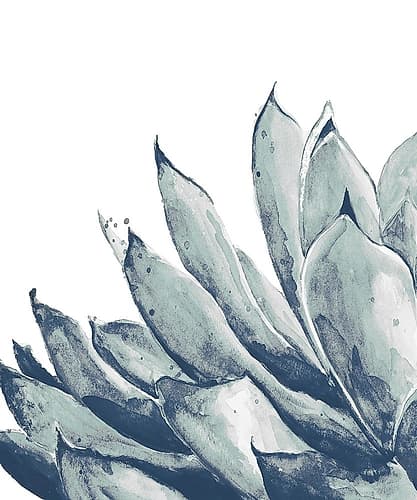 Blue Agave on White I Art Print