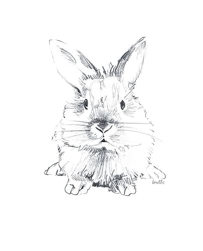 Sketched Rabbit V Art Print