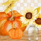 Sunny Harvest II Art Print