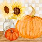 Sunny Harvest III Art Print