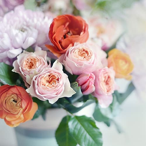 Fresh Bouquet Art Print by Sarah Gardner