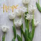 Hope Blooms (dark gold) Art Print