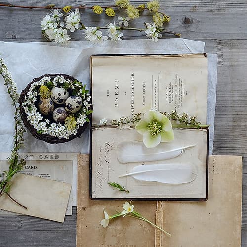 Love Poems Art Print by Sarah Gardner