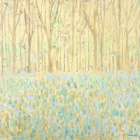 Yellow Birchwood Trees Art Print
