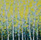 Yellow Birchwood Art Print