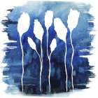Florals on Blue Hue I Art Print