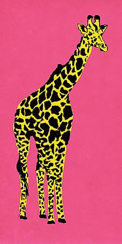 Giraffe on Pink Art Print