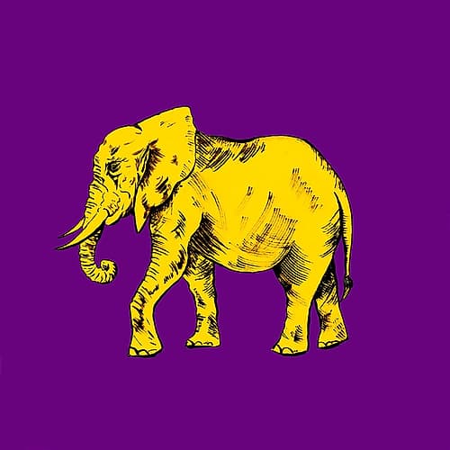 Elephant on Purple Art Print