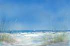 Grassy Seascape Art Print