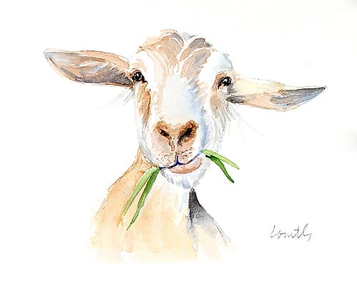 Goat III Art Print