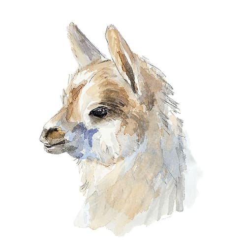 Side Portrait Llama Impressionniste reproduction