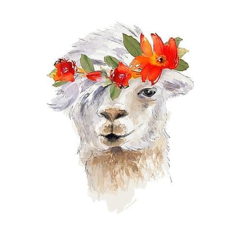 Floral Llama II Art Print