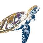 Golden Navy Turtle I Art Print