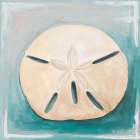 Sand Dollar on Teal Art Print
