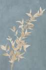 Tan Leaf on Blue II Art Print