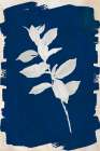 White Leaf on Navy II Art Print
