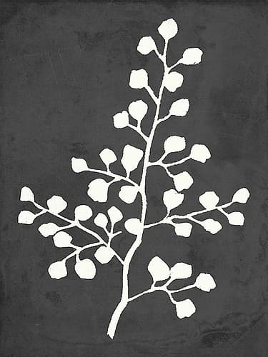 Fern Silhouette II Art Print