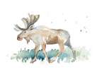 Watercolor Moose Art Print