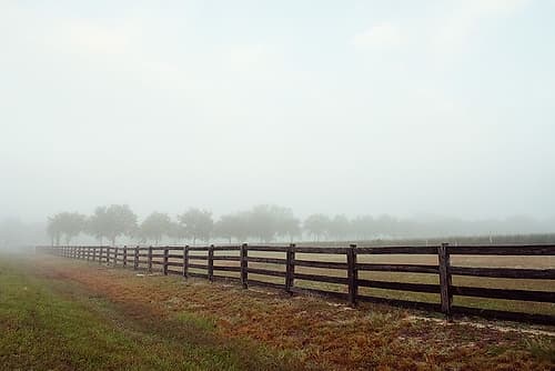 Humid Days Landscape Print