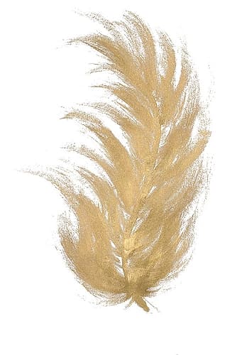Gold Feather I Decorative Print