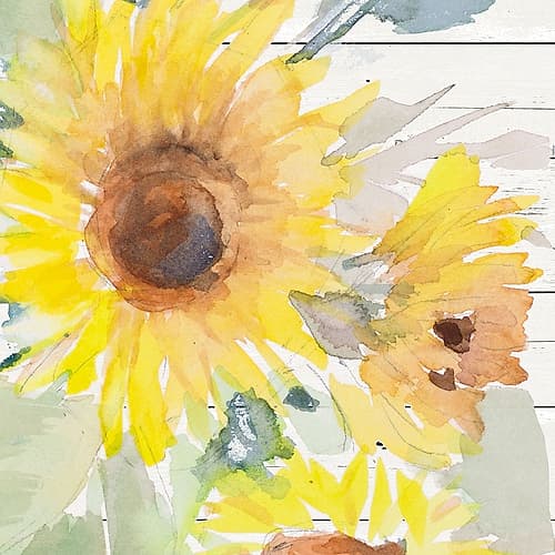 Blooming Sunflower Square V Art Print
