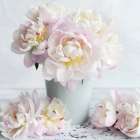 White Blooms Art Print