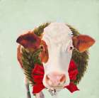 Christmas Portrait Cow Art Print