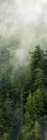 Smoky Forest Panel III Art Print