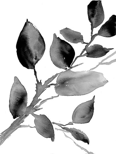 Gray Philodendron Branch Art Print