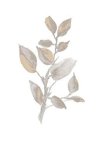 Gray Philodendron Branch I Nature Print