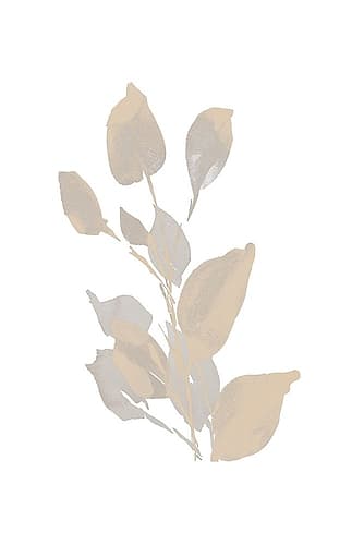 Gray Philodendron Branch II Art Print
