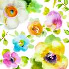 Rosy Vines II Art Print