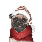 Holiday Pug Art Print