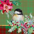 Holiday Poinsettia and Cardinal on Plaid II Art Print