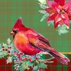 Holiday Poinsettia and Cardinal on Plaid I Art Print
