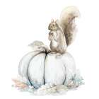 Squirrel and Pumpkin II Art Print