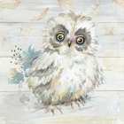 Baby Owl Amongst the Falling Leaves Art Print
